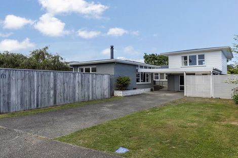 Photo of property in 42 Kennedy Drive, Levin, 5510