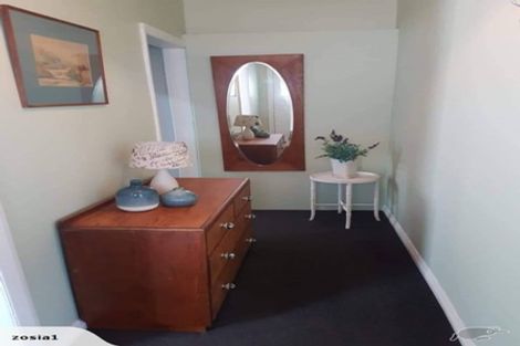 Photo of property in 41 Palmer Street, Aro Valley, Wellington, 6011