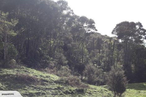 Photo of property in 31 Raglan Road, Kawhia, 3878