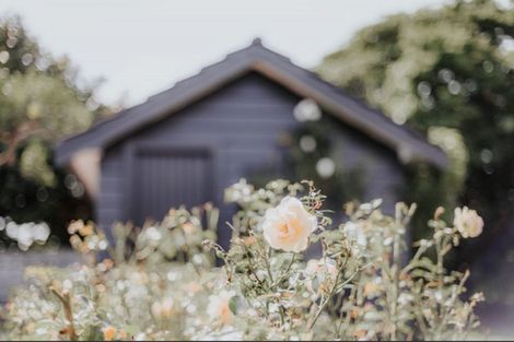 Photo of property in 345 Devonport Road, Tauranga, 3110