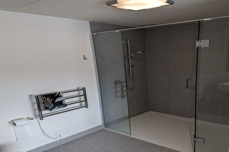 Photo of property in Tattoo Apartments, 42 Abel Smith Street, Te Aro, Wellington, 6011