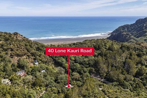 Photo of property in 40 Lone Kauri Road, Karekare, New Lynn, 0772