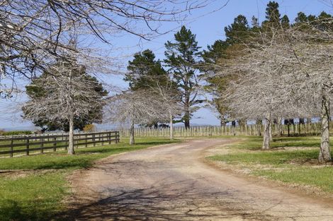 Photo of property in 459 Wiroa Road, Kerikeri, 0293