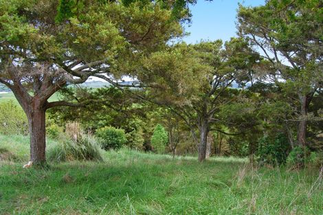 Photo of property in 542e Oneriri Road, Kaiwaka, 0573