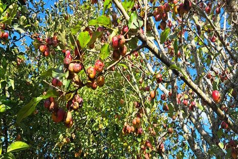 Photo of property in 70 Thames Road, Paeroa, 3600