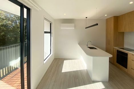 Photo of property in 2/55 Mathesons Road, Phillipstown, Christchurch, 8011