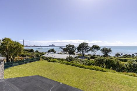 Photo of property in 24b Birdwood Avenue, Moturoa, New Plymouth, 4310