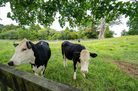 Photo of property in 524 Ngunguru Road, Glenbervie, Whangarei, 0173