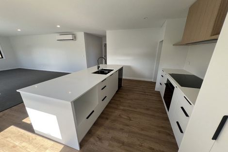 Photo of property in 119a Mcmurdo Street, Tinwald, Ashburton, 7700