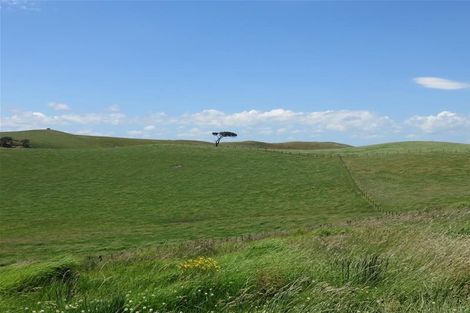 Photo of property in 12 Alcemene Lane, Baylys Beach, Dargaville, 0377