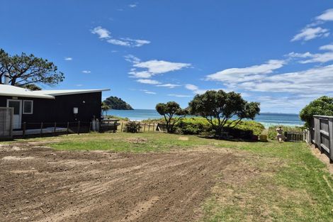 Photo of property in 208 Mangakahia Drive, Whangapoua, Coromandel, 3582