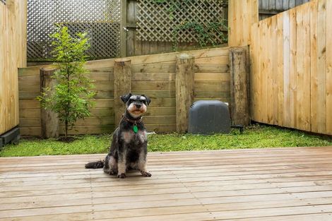 Photo of property in 4/26 Springvale Drive, Fairview Heights, Auckland, 0632