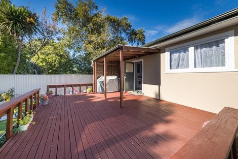 Photo of property in 33 Seddon Street, Takaro, Palmerston North, 4412