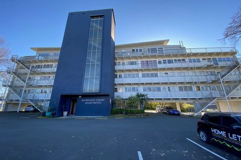 Photo of property in 3/89 Tristram Street, Hamilton Central, Hamilton, 3204