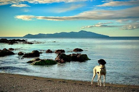 Photo of property in 8 Beere Haven Steps, Seatoun, Wellington, 6022