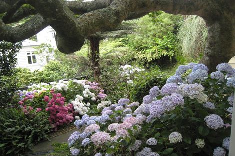 Photo of property in 194a Sydney Street West, Thorndon, Wellington, 6011