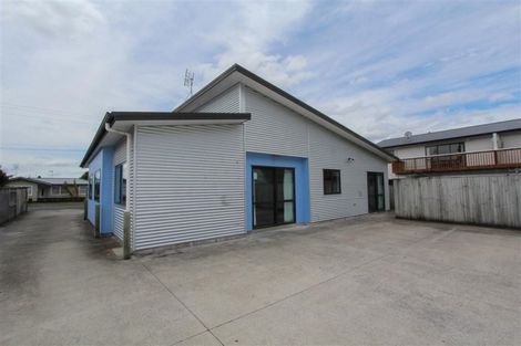 Photo of property in 55 York Street, Hamilton East, Hamilton, 3216