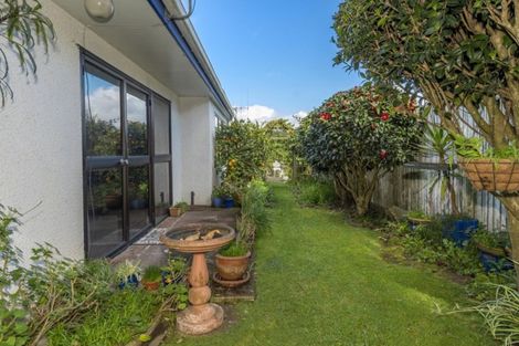 Photo of property in 147b Edgecumbe Road, Tauranga South, Tauranga, 3112