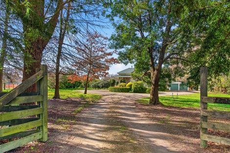 Photo of property in 41 Millard Avenue, Kuripuni, Masterton, 5810
