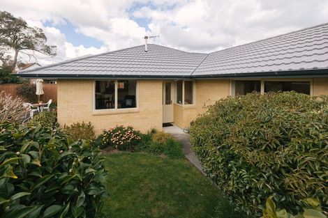 Photo of property in 19a Anglesey Place, Awapuni, Palmerston North, 4412