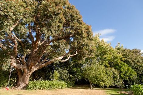 Photo of property in 132 Old Renwick Road, Springlands, Blenheim, 7272