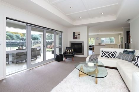 Photo of property in 110c Butcher Road, Matangi, Hamilton, 3284