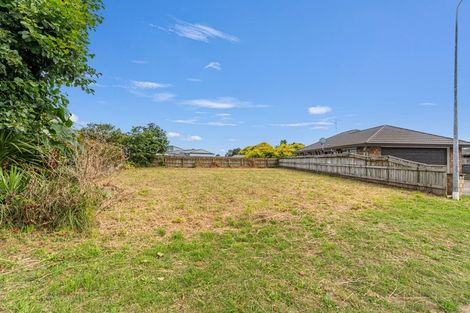 Photo of property in 20 Bertelsen Court, Otaki, 5512
