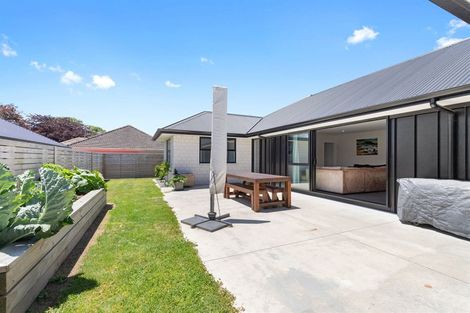 Photo of property in 333 Thames Street, Morrinsville, 3300
