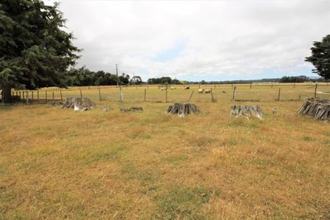 Photo of property in 921 Top Grass Road, Dannevirke, 4972