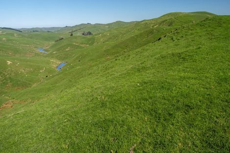 Photo of property in 425 Daggs Road, Bideford, Masterton, 5882