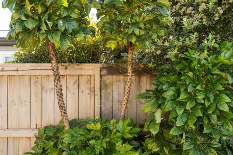 Photo of property in 40 Humber Crescent, Gate Pa, Tauranga, 3112