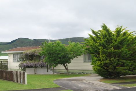 Photo of property in 9 Mcdonald Place, Paeroa, 3600
