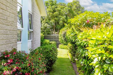 Photo of property in 6 Takahe Street, Masterton, 5810