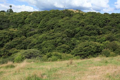 Photo of property in 1193 Te Papatapu Road, Makomako, Te Mata, 3895