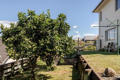 Photo of property in 55 Hamurana Road, Omokoroa, 3114