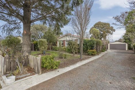 Photo of property in 25 Leeston And Lake Road, Leeston, 7632