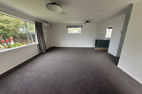 Photo of property in 191b Fraser Street, Tauranga South, Tauranga, 3112