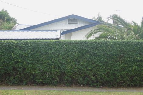 Photo of property in 41 Rimu Street, New Lynn, Auckland, 0600