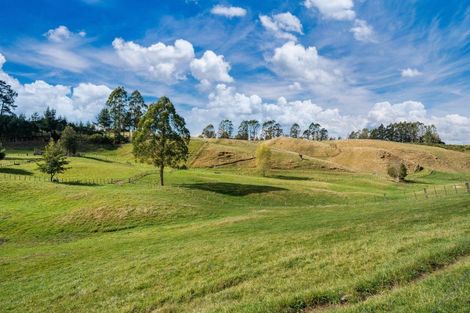 Photo of property in 720 Oruanui Road, Oruanui, Taupo, 3384