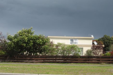 Photo of property in 115 Tuwharetoa Street, Taupo, 3330