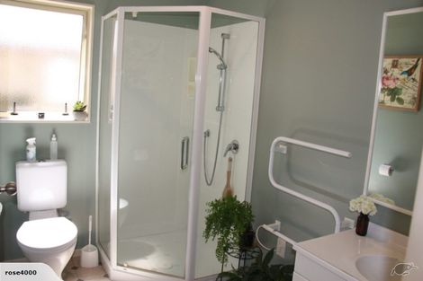 Photo of property in 22c Hunter Street, Hamilton Lake, Hamilton, 3204