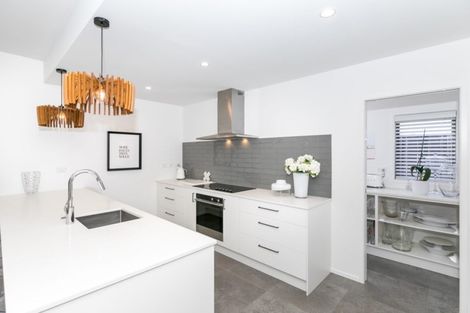 Photo of property in 9 Probert Crescent, Chartwell, Hamilton, 3210