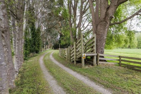 Photo of property in 1089 Saddle Road, Ashhurst, 4810