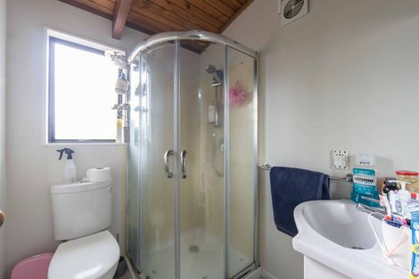 Photo of property in 19a Palmerston Street, Hamilton Central, Hamilton, 3204