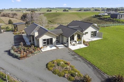 Photo of property in 58 Beechwood Road, Feilding, 4779