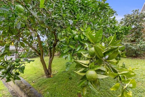 Photo of property in 33b Livingstone Avenue, Nawton, Hamilton, 3200