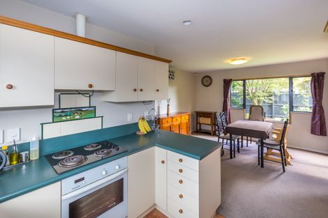 Photo of property in 128a Mcfaddens Road, St Albans, Christchurch, 8052