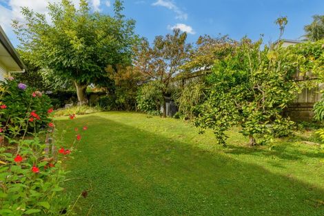 Photo of property in 50a Harvey Street, Tauranga South, Tauranga, 3112