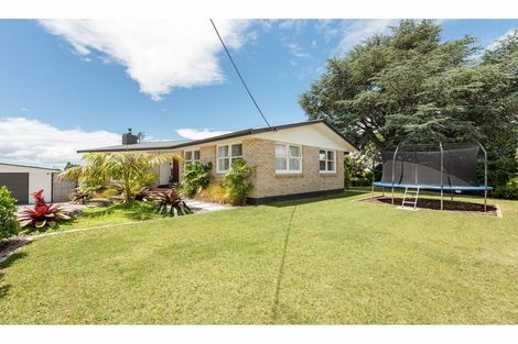 Photo of property in 4 Beaufort Avenue, Brookfield, Tauranga, 3110