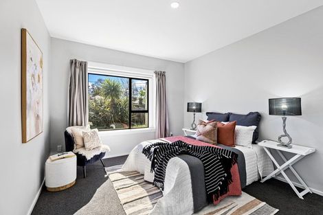 Photo of property in 49 Harker Street, Spreydon, Christchurch, 8024